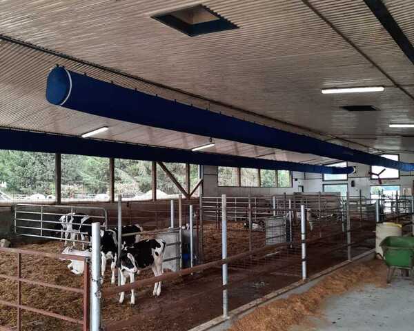 Performance Dairy, Wilmarlea, Ontario, Canada